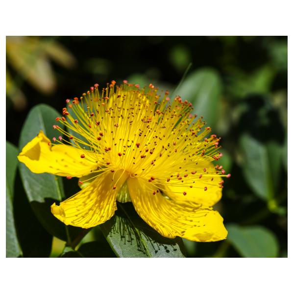 PHOTO84, CLUB, 84 , LUBERON